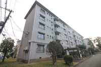 浅香山住宅24棟（203）