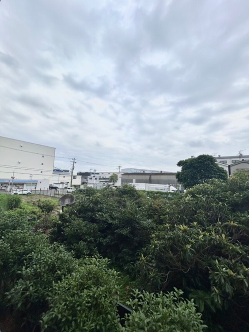 室内からの展望 アルブル