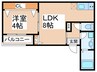 プロスパーコート杉本町 1LDKの間取り