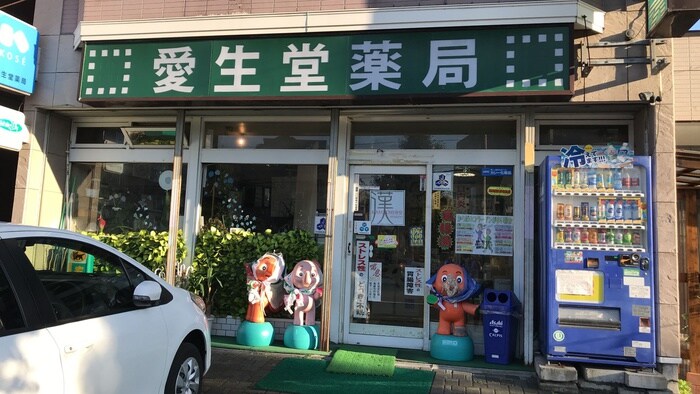 愛生堂薬局(ドラッグストア)まで30m サンコ－パ－クハイツ