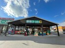 業務スーパー栗東店(スーパー)まで700m カルフールⅧ