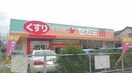 ドラッグセガミ広田店(ドラッグストア)まで1300m レ－クヒル　Ⅰ