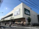 阪急オアシス 武庫之荘店(スーパー)まで350m ｴｸｼ-ﾄﾞ武庫之荘Ⅱ