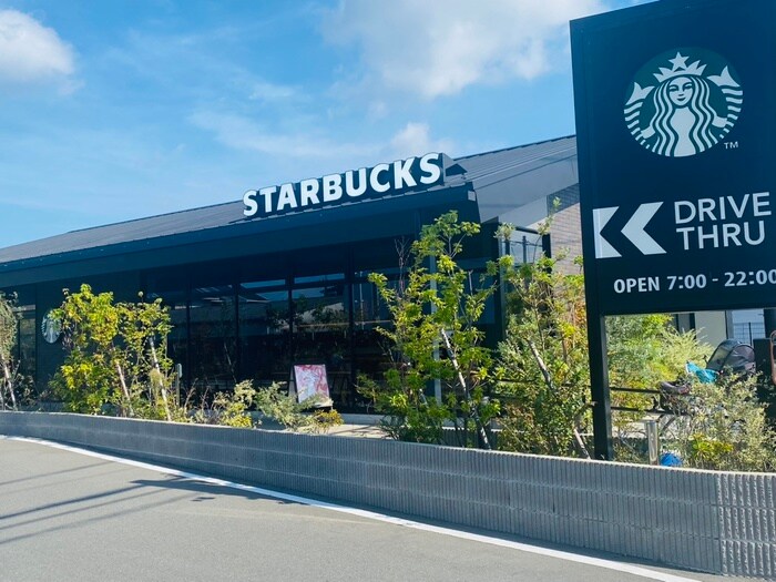 スターバックスコーヒー(カフェ)まで664m D porta Luchta