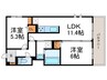 仮)D-ROOM壬生森町 2LDKの間取り