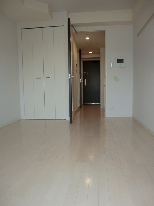 居室 ﾌﾟﾚｻﾝｽ心斎橋ｻﾞ･ｽﾀｲﾙ(1007)