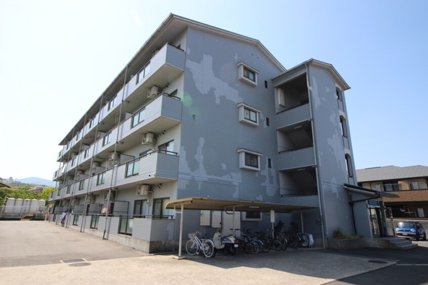 周辺環境 アルカサール向陽