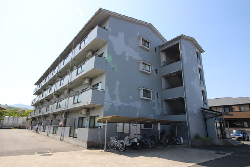 周辺環境 アルカサール向陽