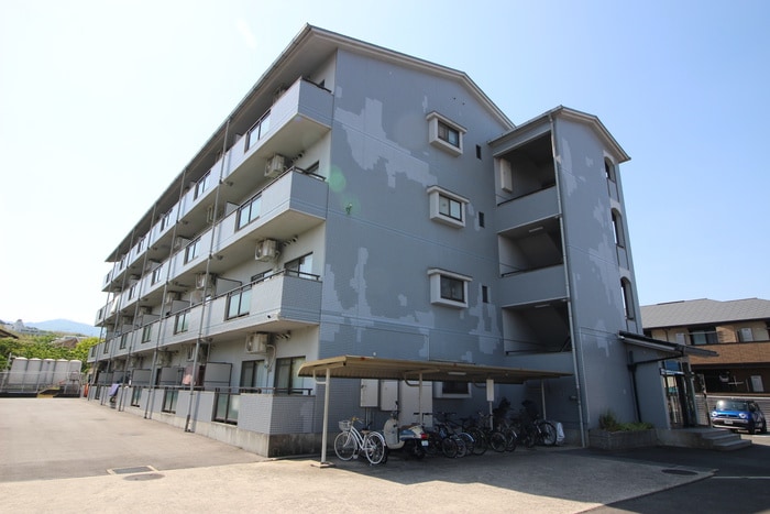 周辺環境 アルカサール向陽