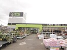 ロイヤルホームセンター(電気量販店/ホームセンター)まで600m アルカサール向陽