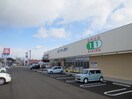 イレブン(ドラッグストア)まで550m ケーズコート