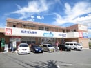 ウエルシア　松原店(ドラッグストア)まで800m 土師借家