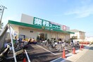 業務スーパー鳳店(スーパー)まで500m パセオ　津久野