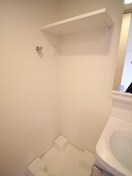 洗濯機置場 ﾗﾗﾌﾟﾚｲｽ　ｻﾞ・京橋ｽﾃﾗ(610)