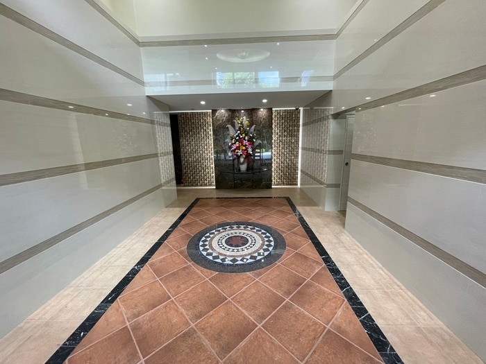 エントランス部分 Luxe難波西Ⅱ