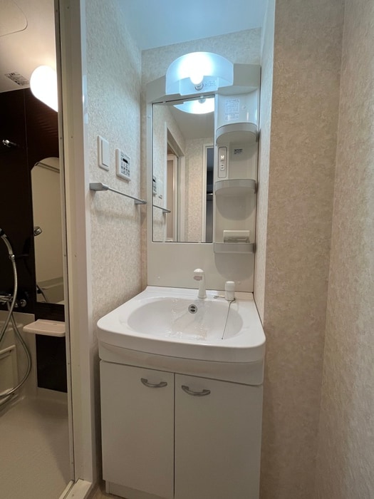 洗面 Luxe難波西Ⅱ