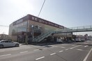ジョーシン(電気量販店/ホームセンター)まで1000m エントピア