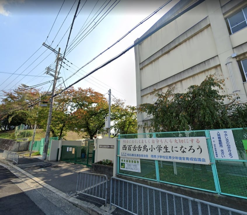 堺市立陵南中学校(中学校/中等教育学校)まで220m Ｃｏｎｆｏｒｔ　ｙａｍａｔｏ