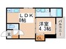 ベジェーサ 1LDKの間取り