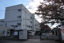 高槻市立真上小学校(小学校)まで260m 東白マンション