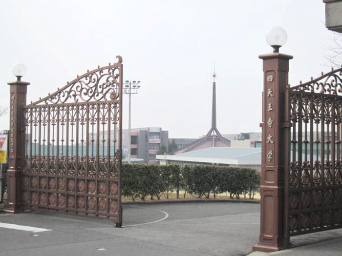 IBU 四天王寺大学(大学/短大/専門学校)まで2500m 清信ハイツ