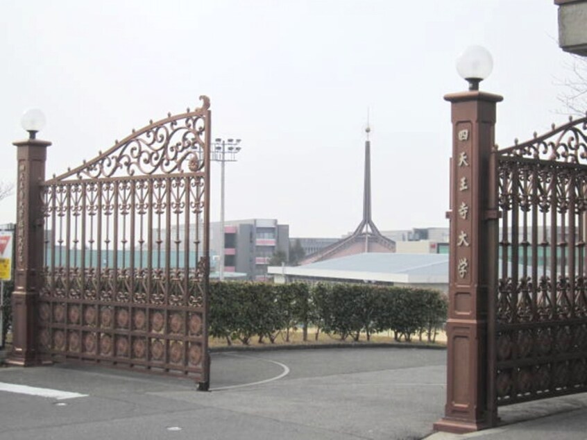 IBU 四天王寺大学(大学/短大/専門学校)まで2500m 清信ハイツ