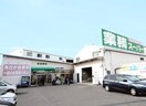業務スーパー 羽曳野店(ディスカウントショップ)まで1400m 清信ハイツ