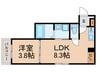 LEA SION 1LDKの間取り