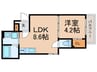 LEA SION 1LDKの間取り