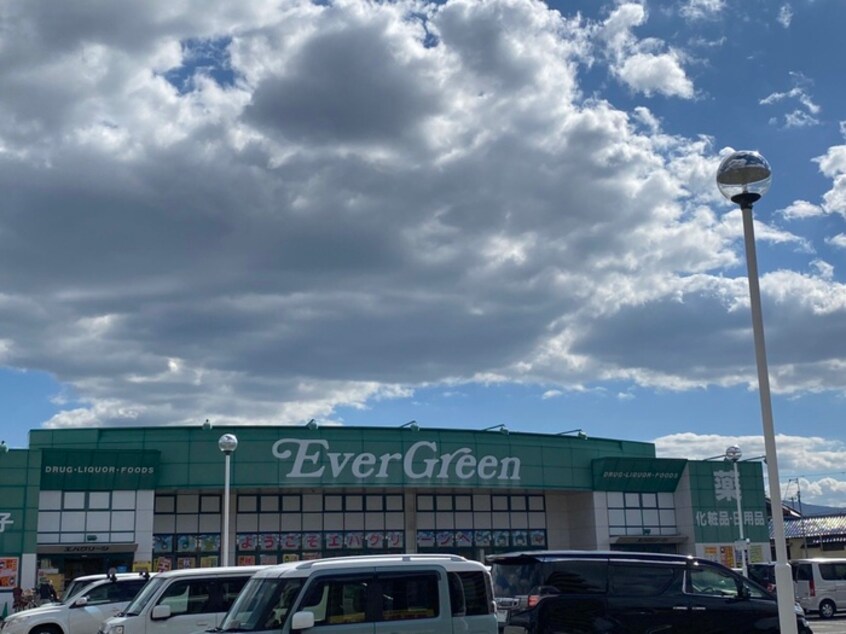 エバーグリーン(ディスカウントショップ)まで450m COCO-SURFRIDER