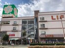ライフ巽店(スーパー)まで327m ベルタツミ