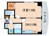 シャインロ－ヤル 1DKの間取り