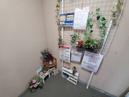 エントランス部分