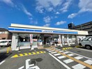 ローソン国道辻店(コンビニ)まで800m ニューホームズⅡ