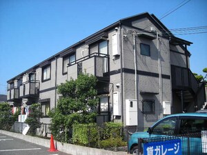 ドルフ甲子園