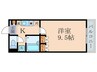 Ｒａｃｏｏｎ　Ｄ１ 1Kの間取り