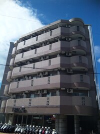 ｱﾈｯｸｽﾊﾟﾙﾏ