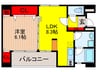 光琳 1LDKの間取り