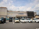 ケーヨーデイツー(ディスカウントショップ)まで400m ロイヤル西野山