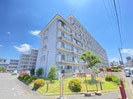 春栄ハイツ（305）の外観