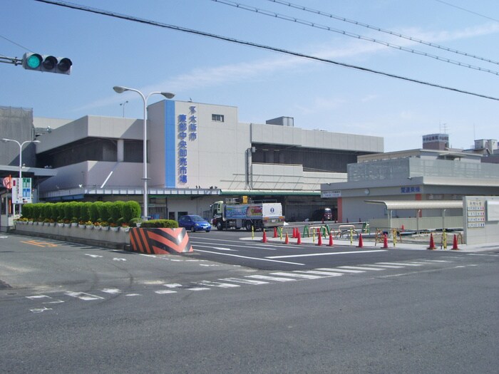 中央卸売市場東部市場(役所)まで500m グロ－パレス田島