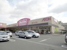 マックスバリュー太子橋店(スーパー)まで450m サクセス京阪本通