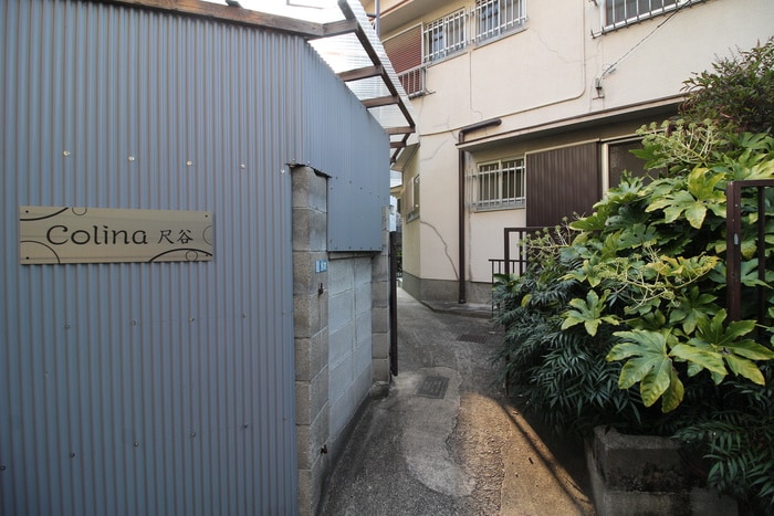 エントランス部分 Ｃｏｌｉｎａ尺谷
