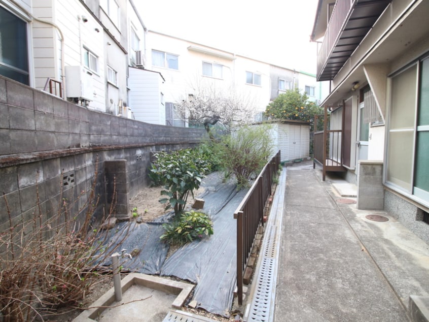 その他 Ｃｏｌｉｎａ尺谷