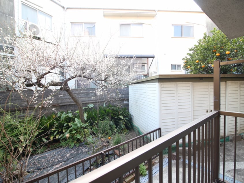 室内からの展望 Ｃｏｌｉｎａ尺谷