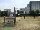 八雲北公園(公園)まで220m セレニティ八雲北町