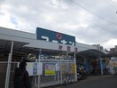コーナン片町店(電気量販店/ホームセンター)まで120m マンションはりげん