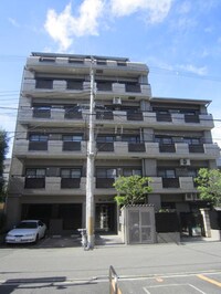 Rise 山野