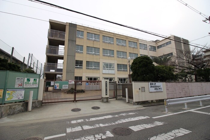 堺市立安井小学校(小学校)まで240m スペチアーレ堺