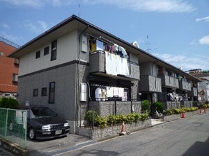 ハイカムール